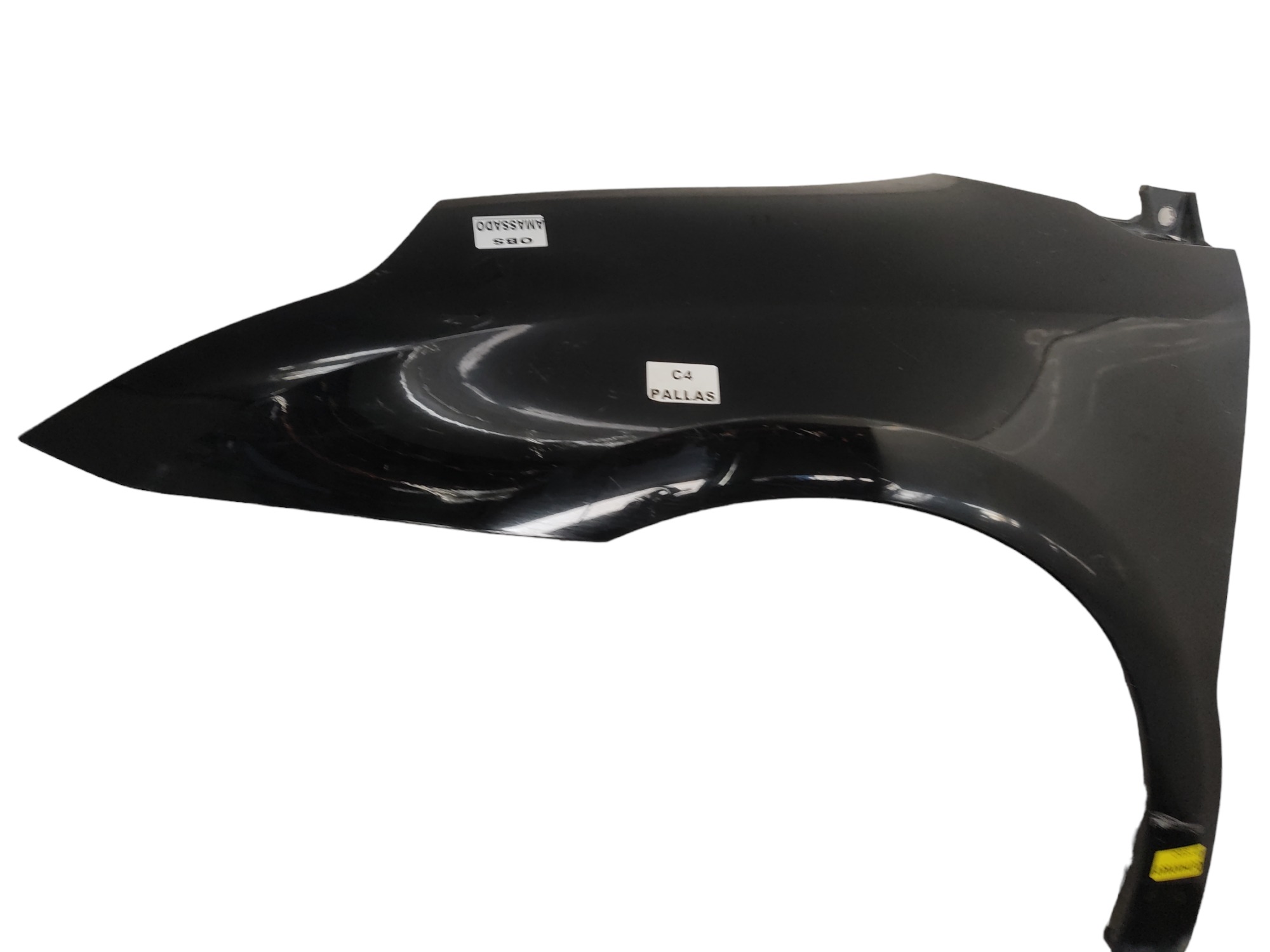 Paralama Esquerdo Citroen C4 Pallas 2007 A 2011 Preto