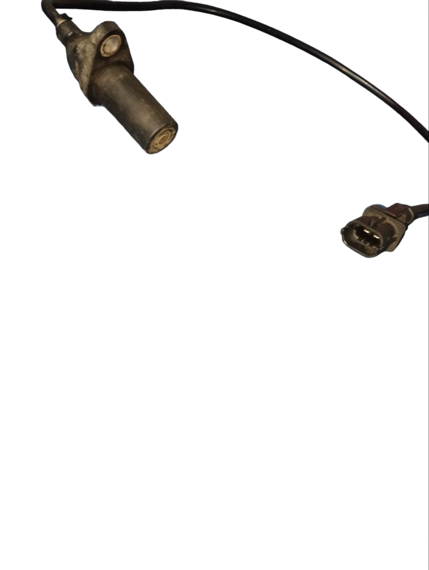 Sensor Rotação Fiat Palio Siena 55236455