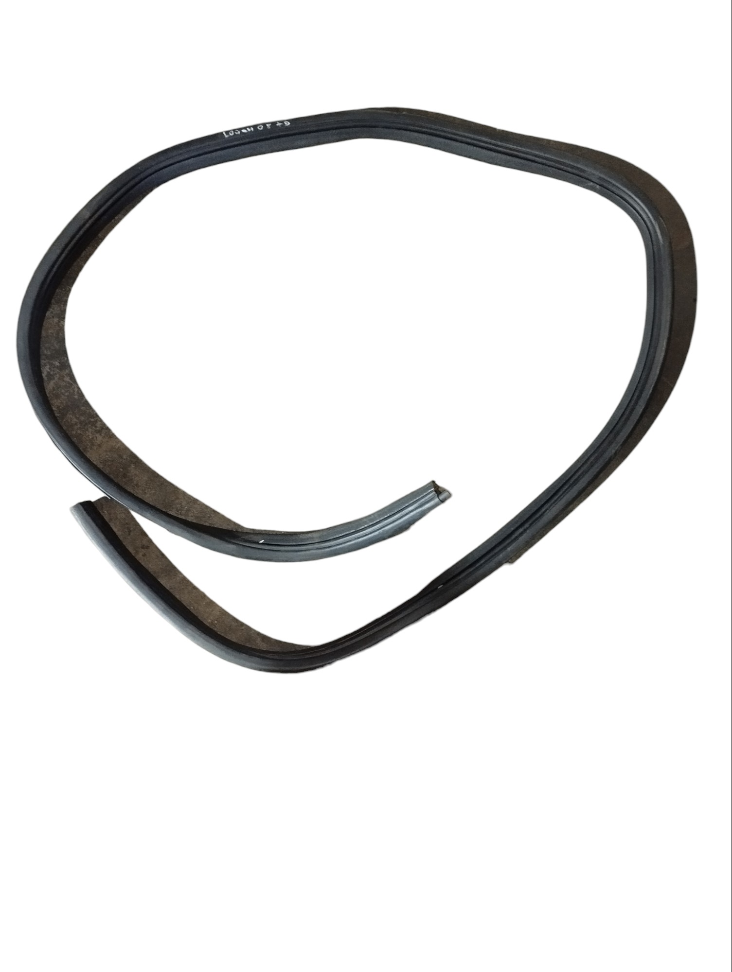 Borracha Porta Traseira Direita Renault Logan 2008