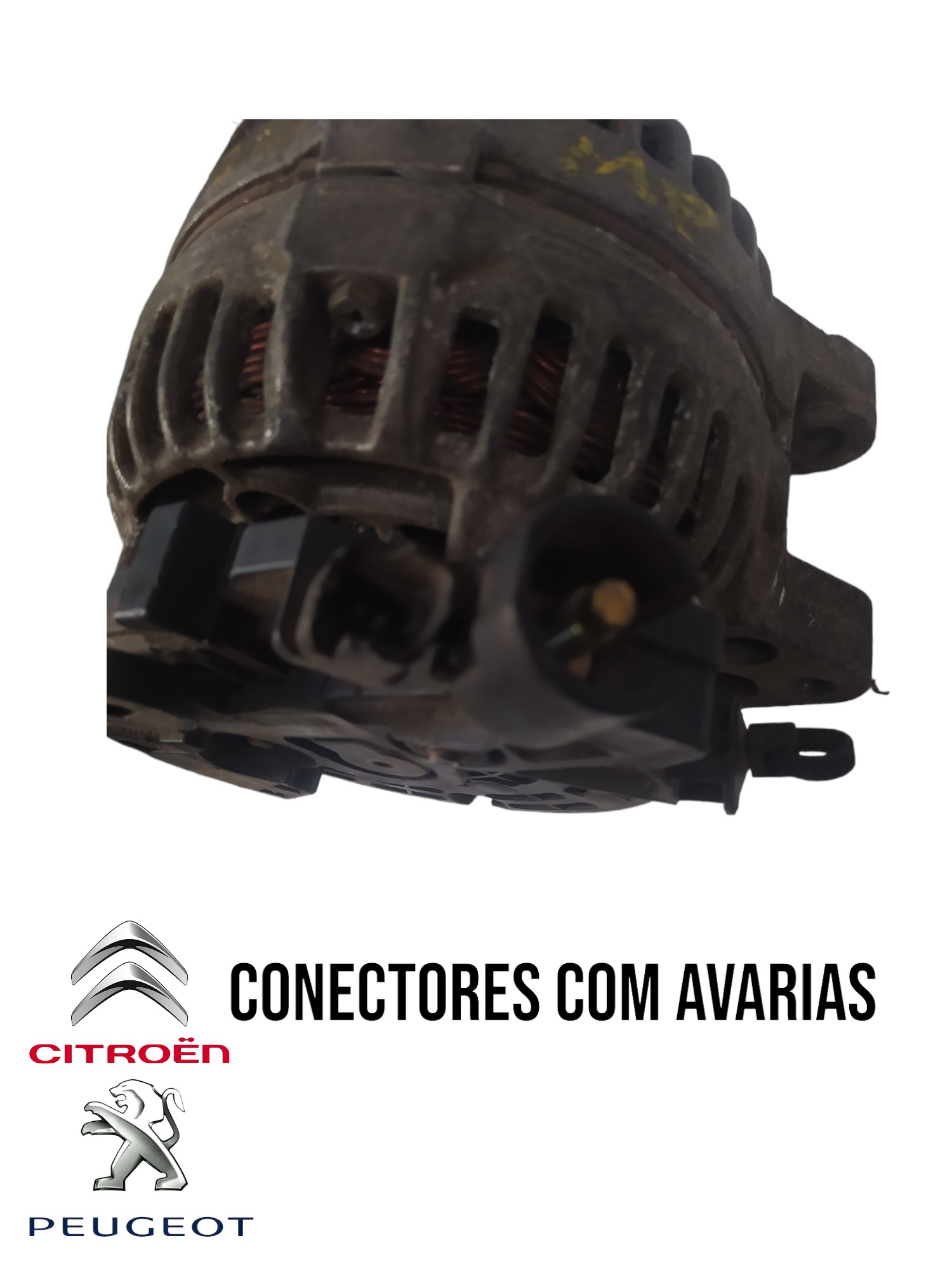 Alternador C3 C4 C8 Peugeot 307 407 2.0 Cl15 9649846780