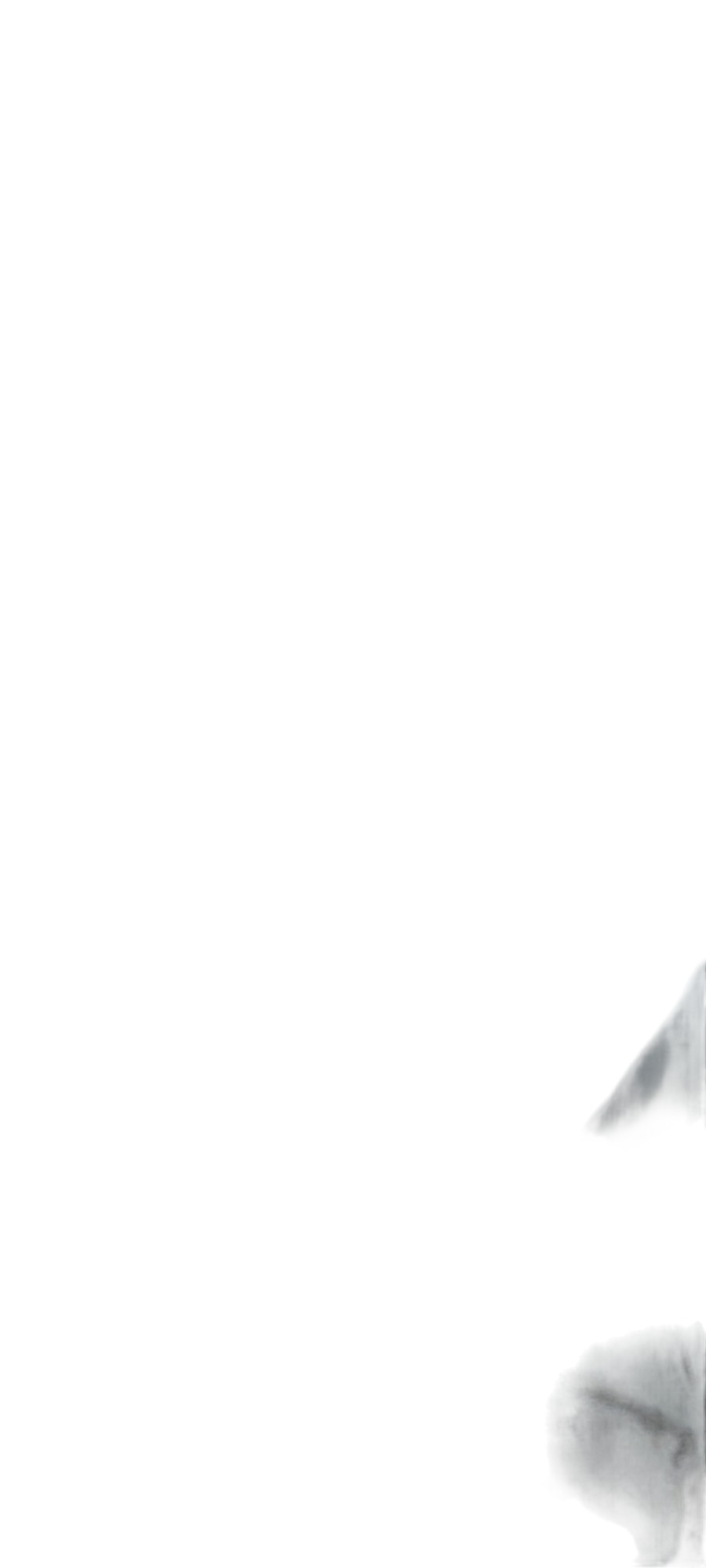 Seta Pisca Paralama Esquerdo Renault Megane 2006 A 2012 Esquerdo