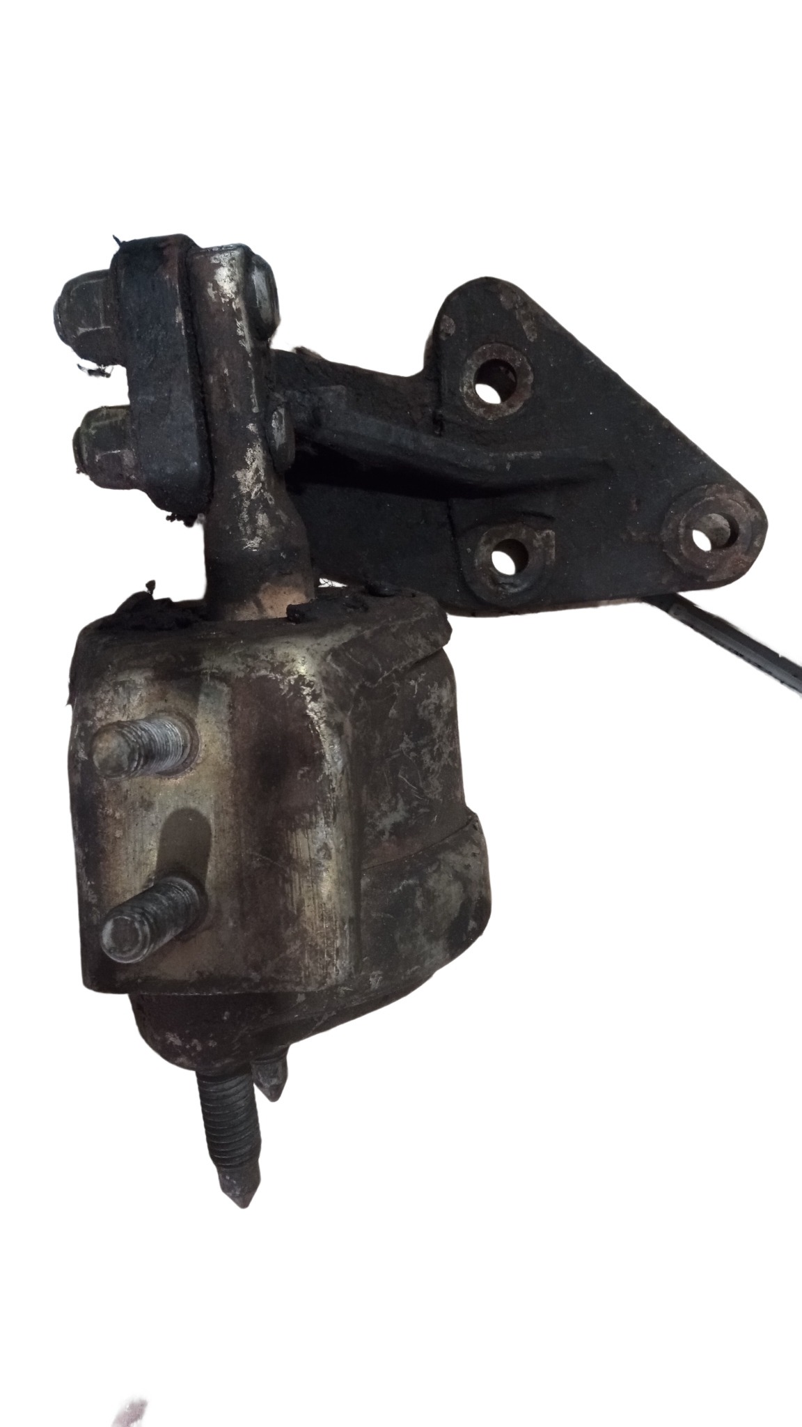 Coxim Com Suporte Escort Zetec 1.8 16v Original