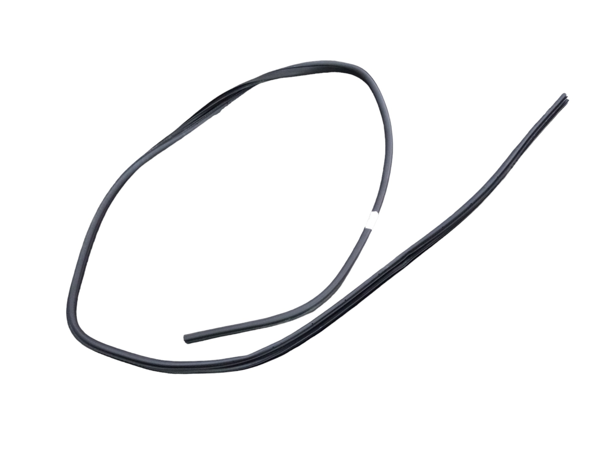 Borracha Porta Dianteira Direita Nissan Kicks 2021 1.6  Preto