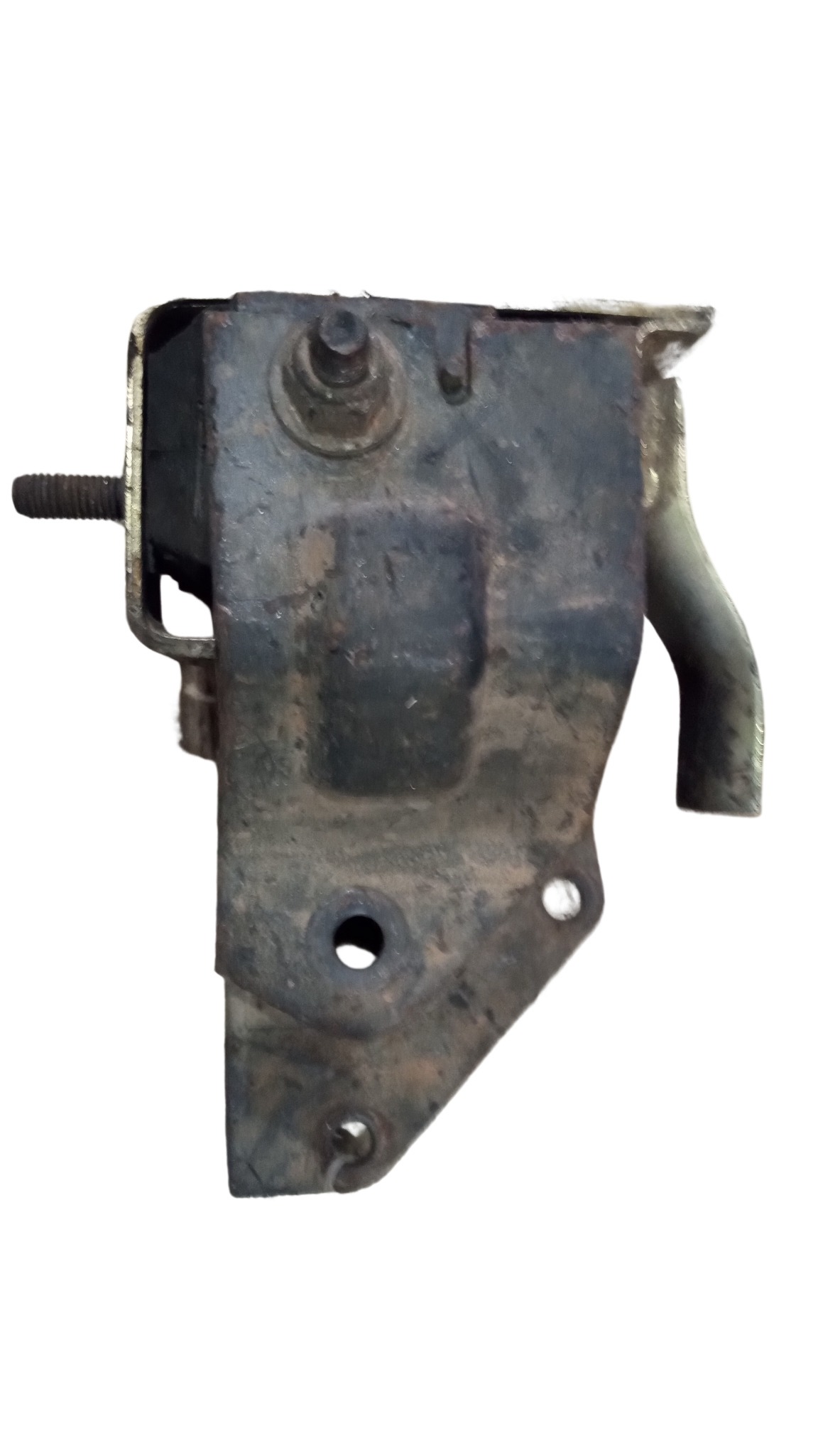 Suporte Coxim Motor Direito Escort Cht Original  542190341