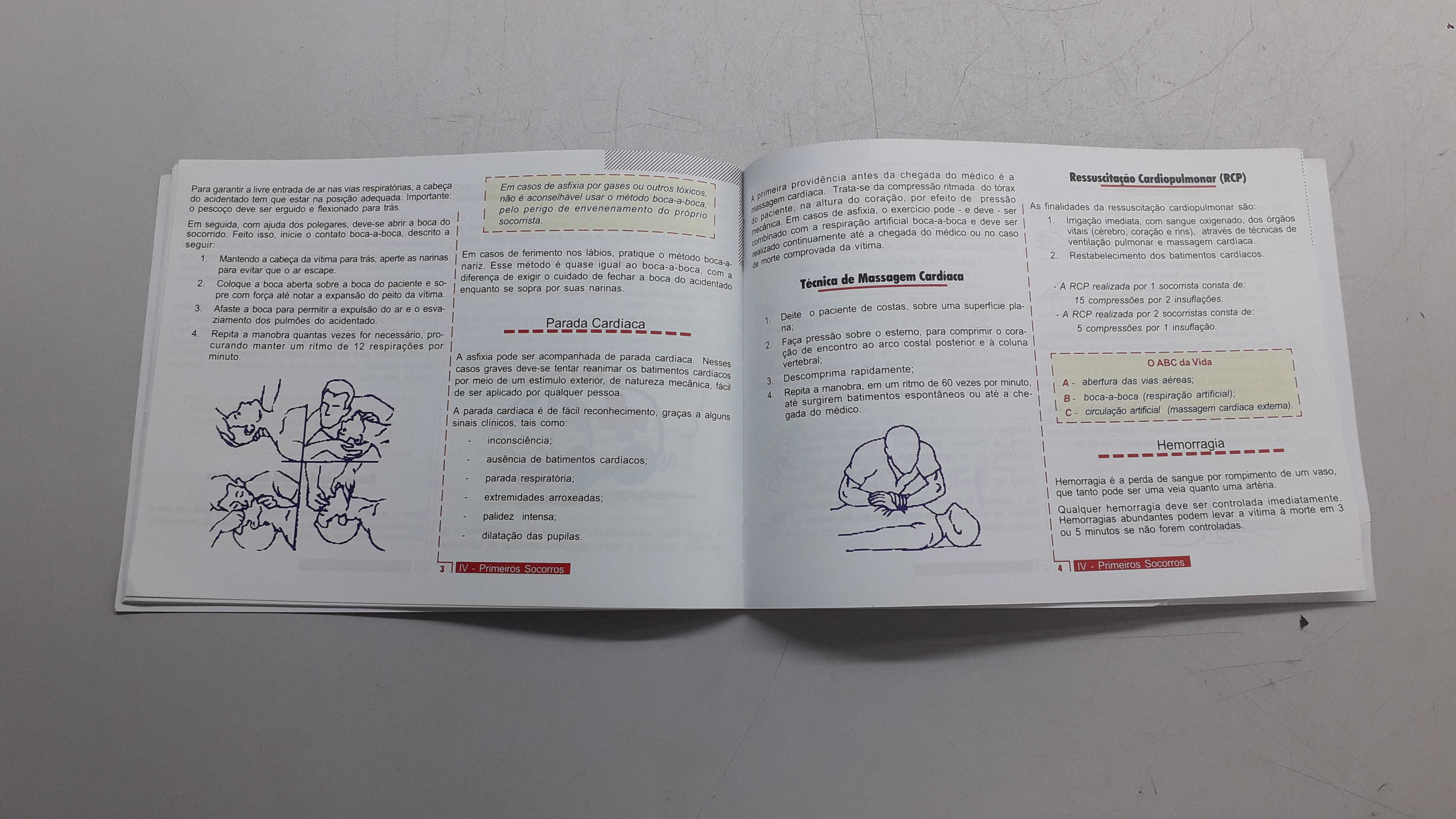 Manual Básico De Segurança No Trânsito Renault 2