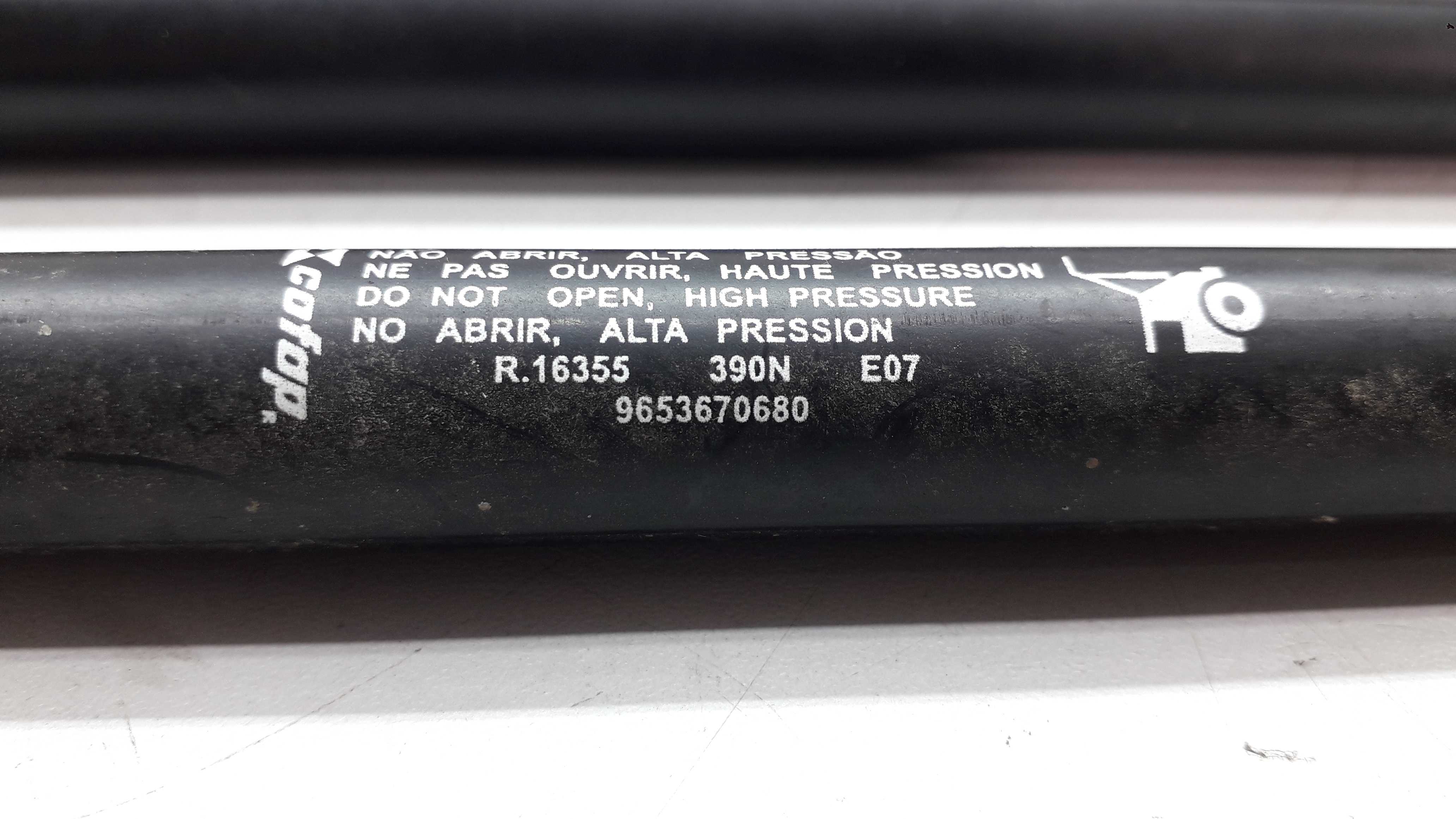 Par Amortecedor Tampa Traseira Citroen C3 2012 2004 3