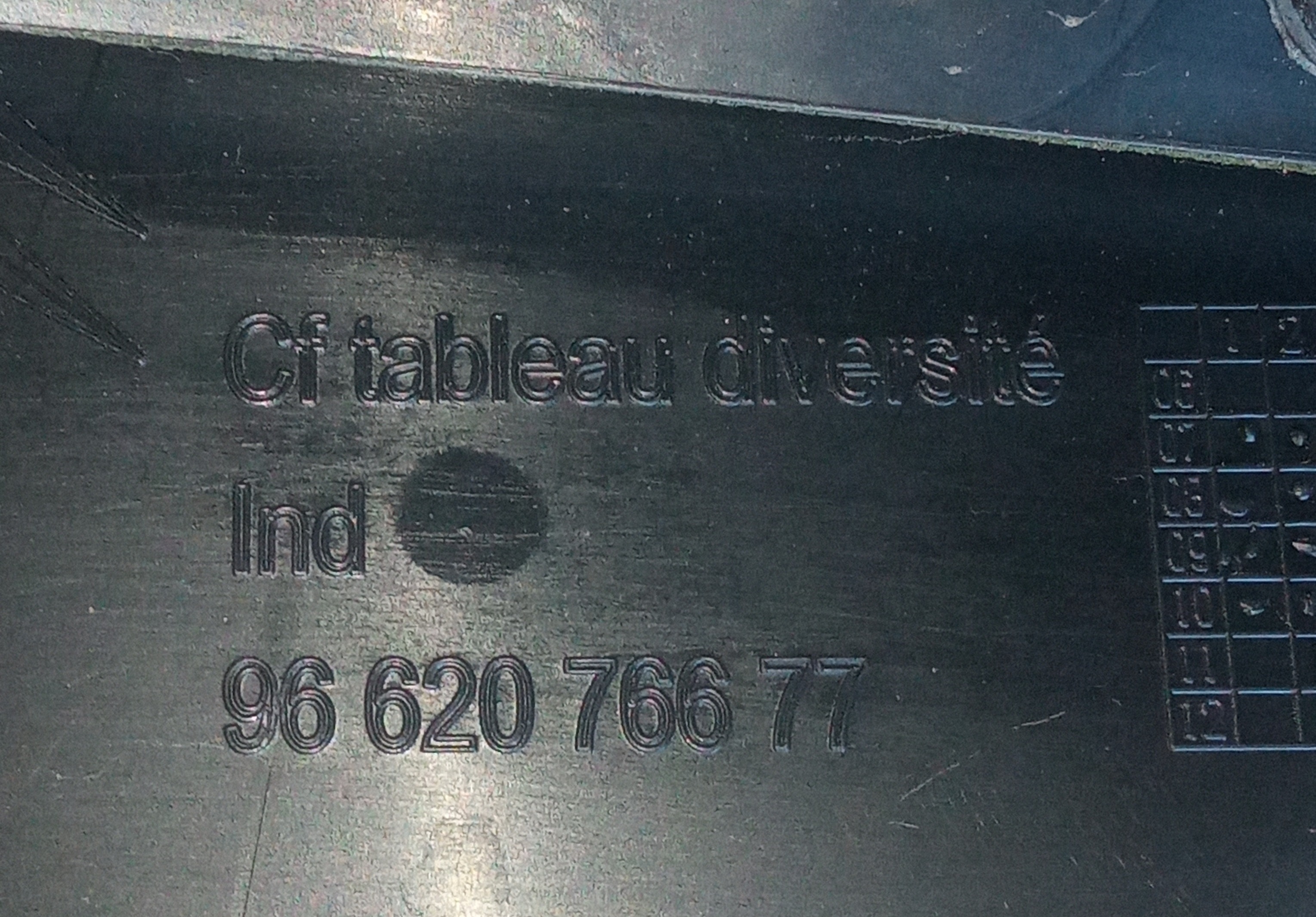 Forro Porta Dianteira Direita Citroen C5 2009 2010 Original Preto 3