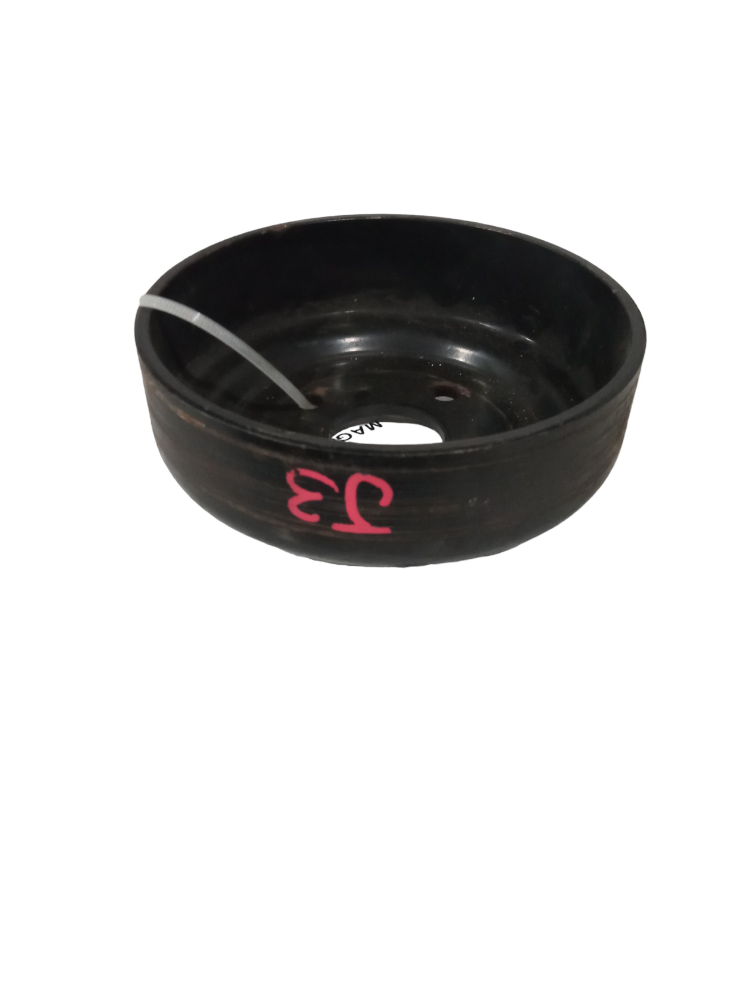 Polia Bomba Dágua Jac J3 2013/2015 Original M.v 4