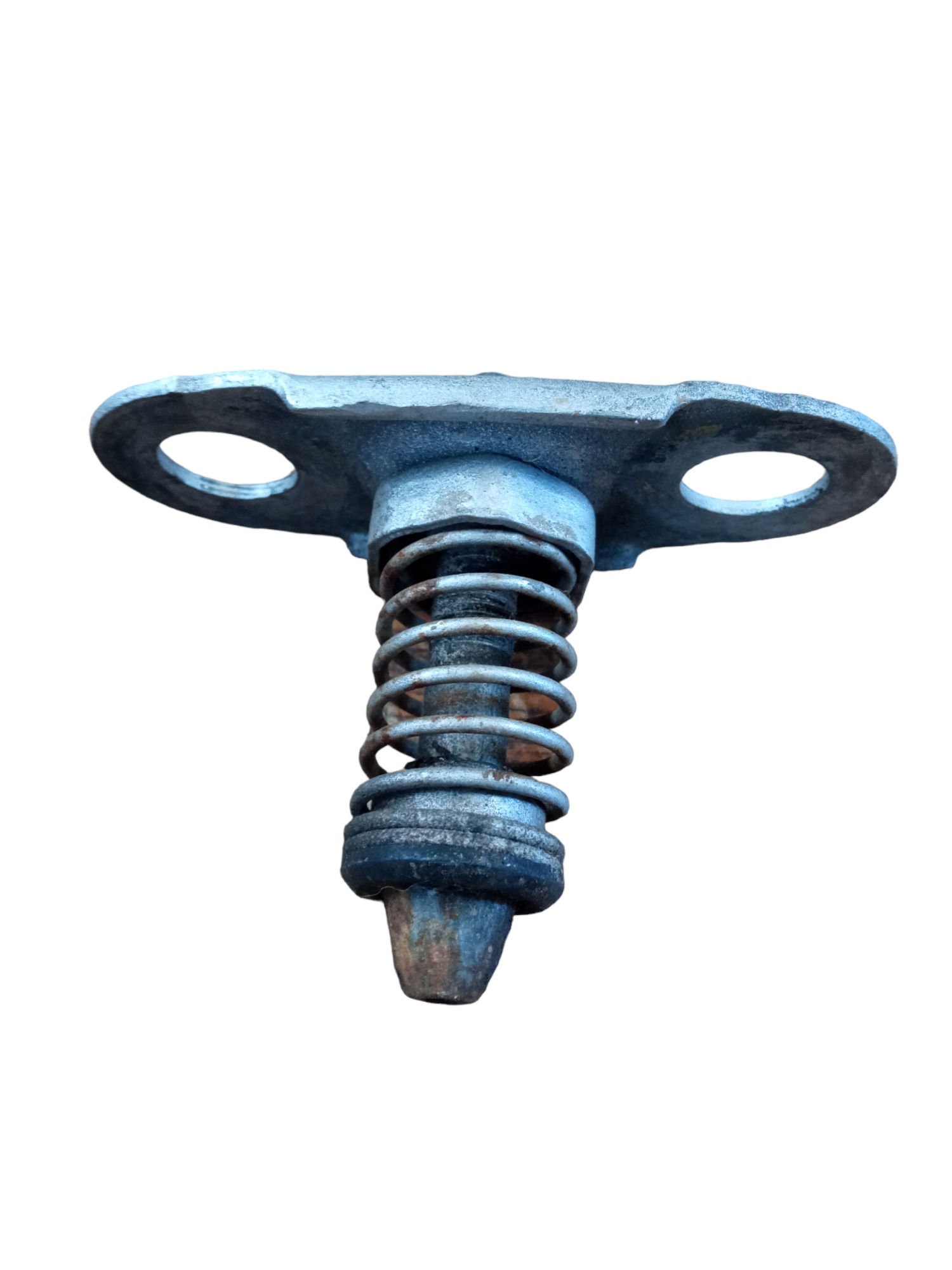 Trava Batente Do Capo C/detalhes Bmw X5 1998/2005 3