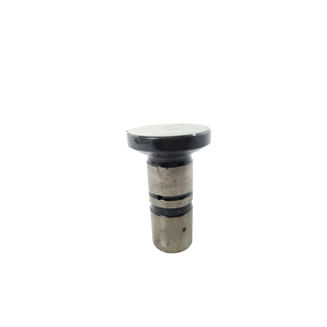 Tucho Do Motor Mwm 61000024 1