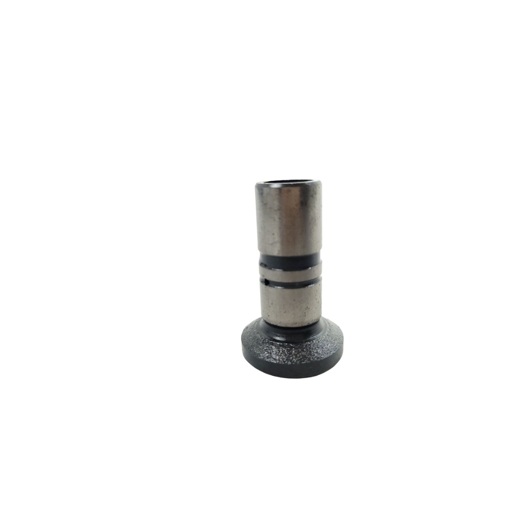 Tucho Do Motor Mwm 61000024 5