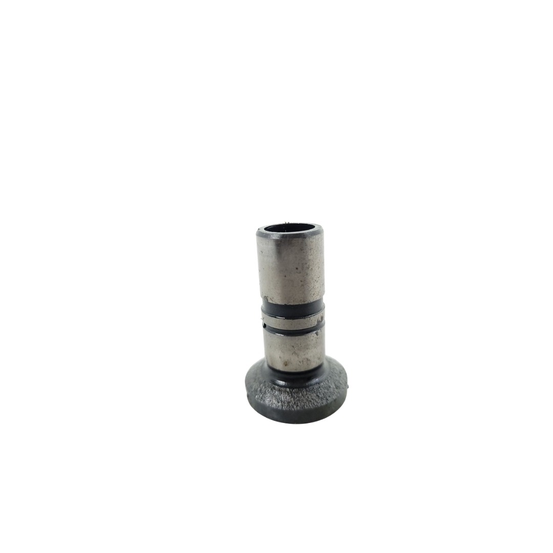 Tucho Do Motor Mwm 61000024 1