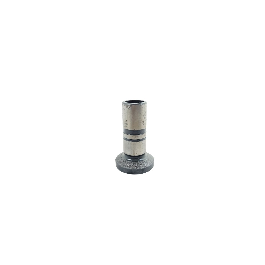 Tucho Do Motor Mwm 61000024 1
