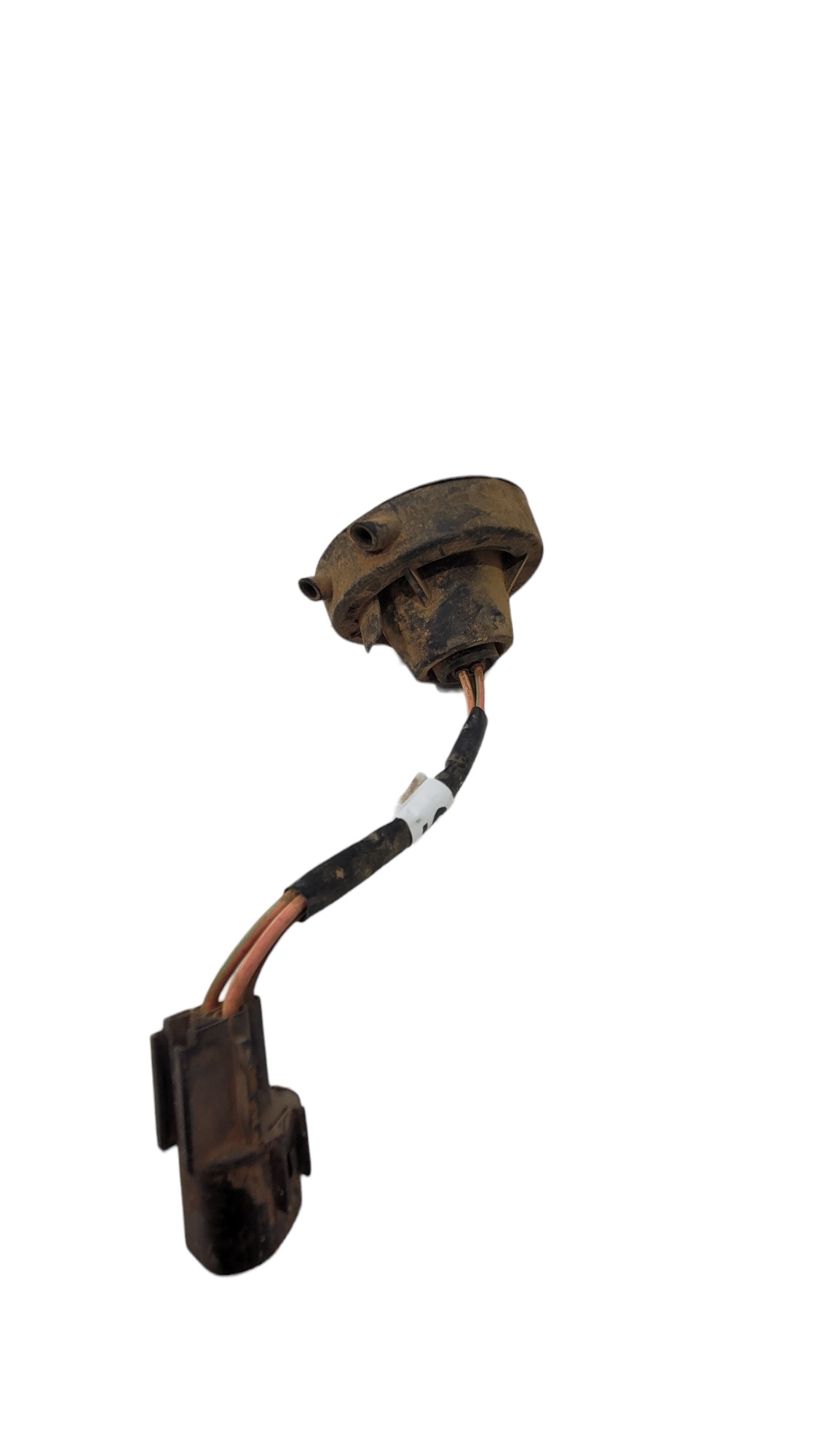 Conector Farol  1 2