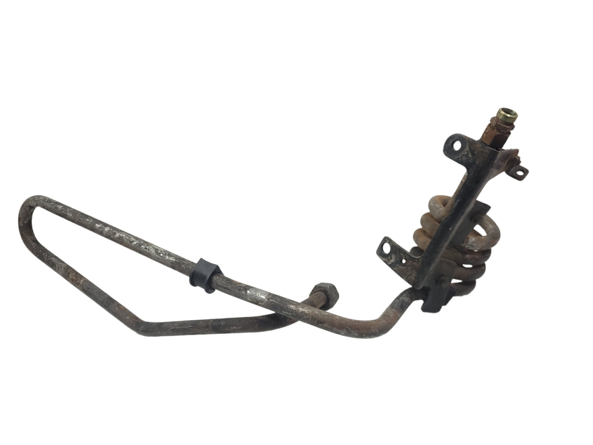 Serpentina Motor Iveco 2