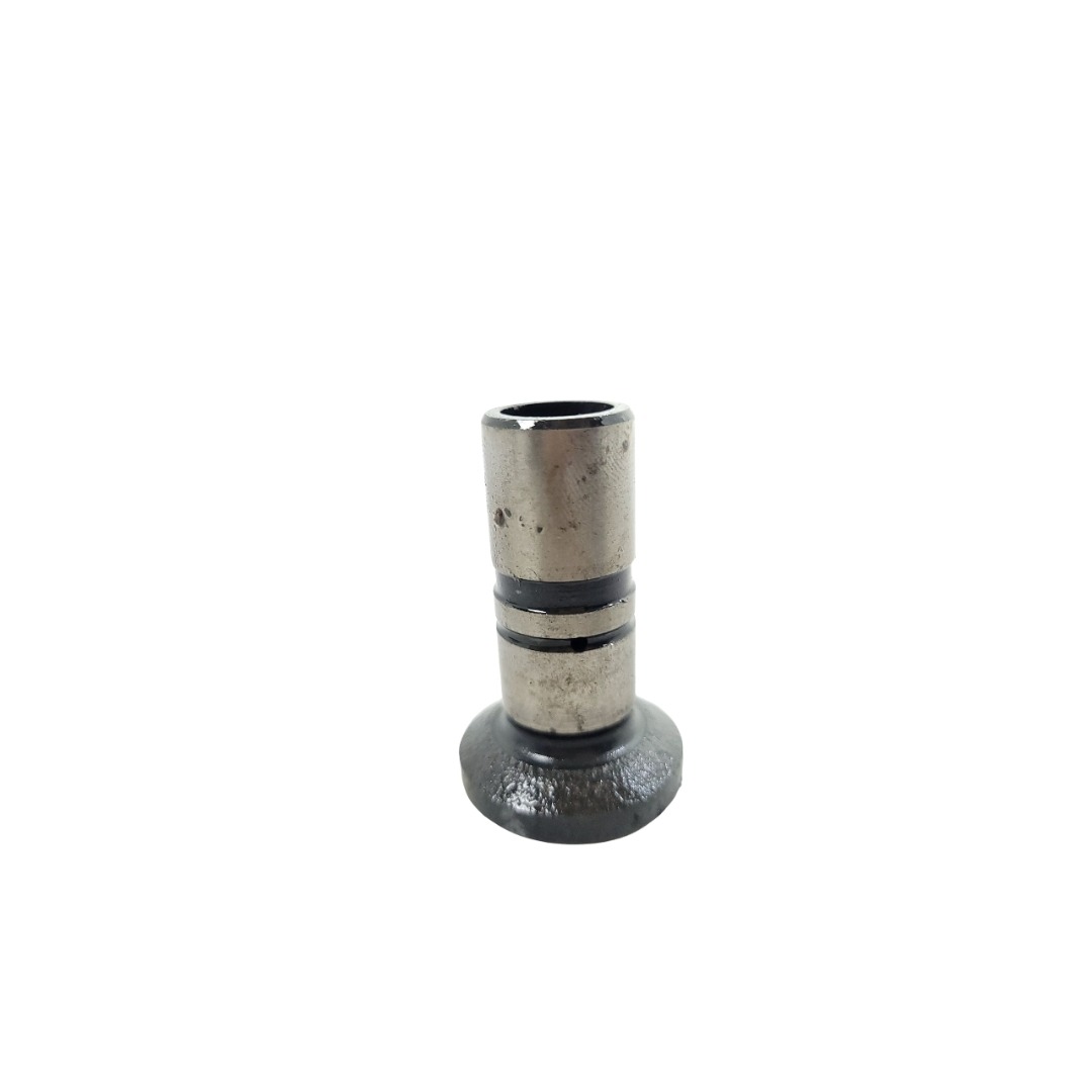 Tucho Do Motor Mwm 61000024 3