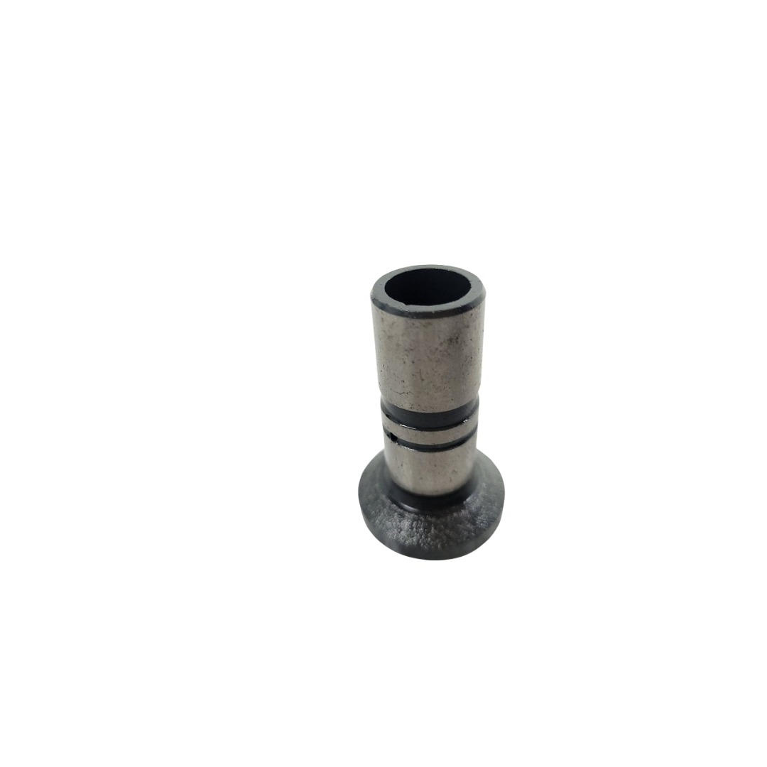 Tucho Do Motor Mwm 61000024 2