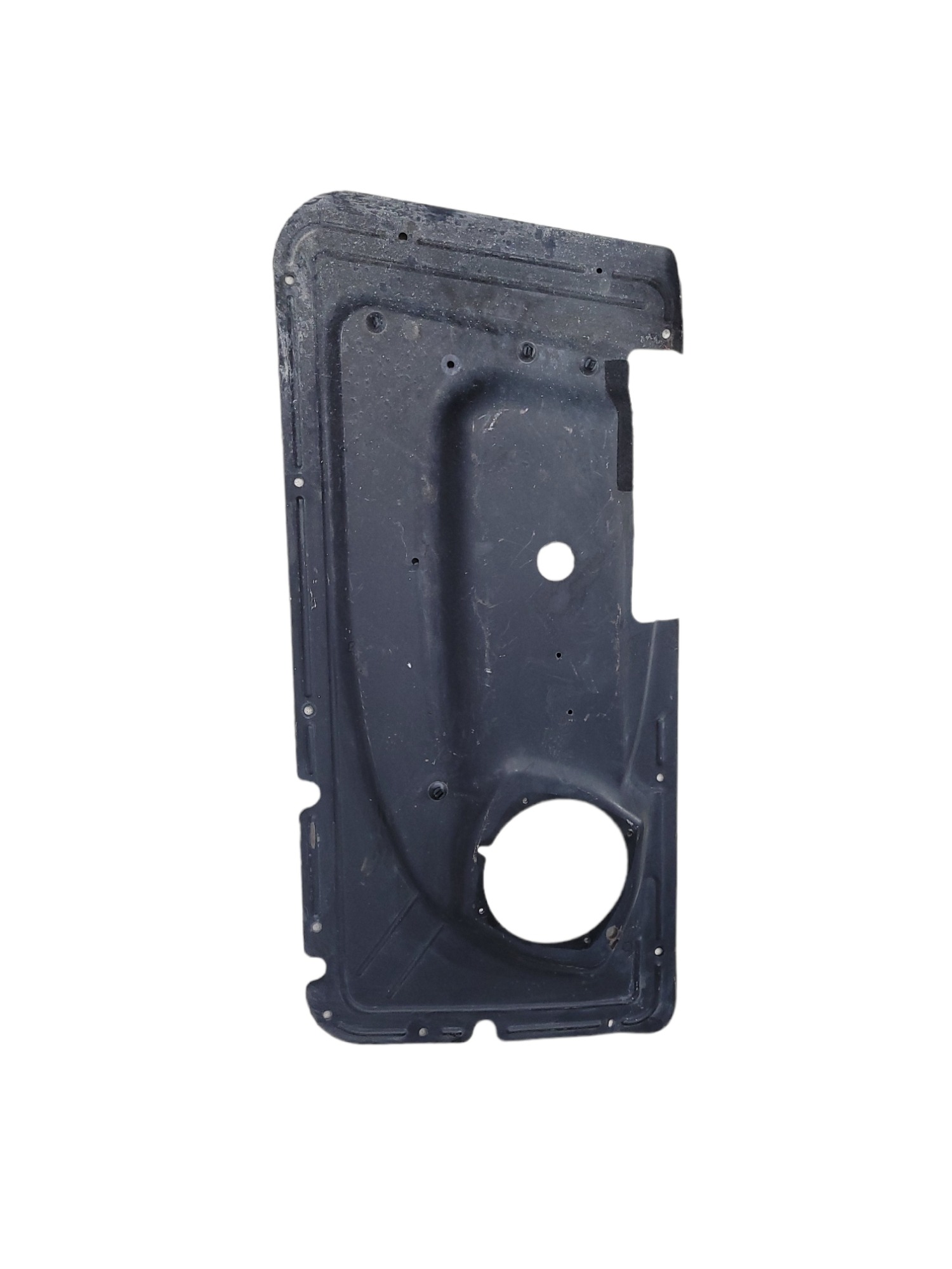 Chapa Porta Volvo Fh 2
