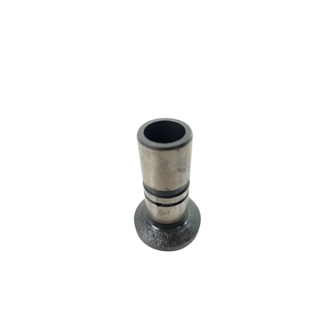 Tucho Do Motor Mwm 61000024 2
