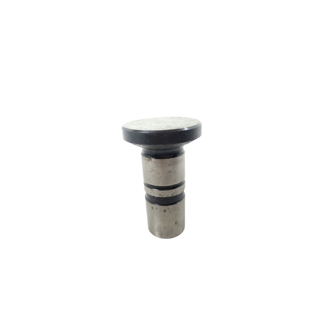Tucho Do Motor Mwm 61000024 4