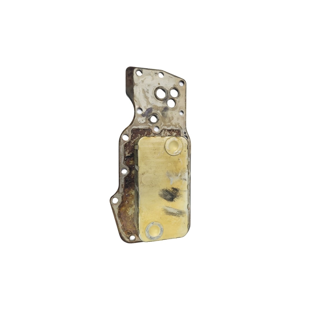 Elemento Resfriador Oleo Vw Constellation 3959031 1