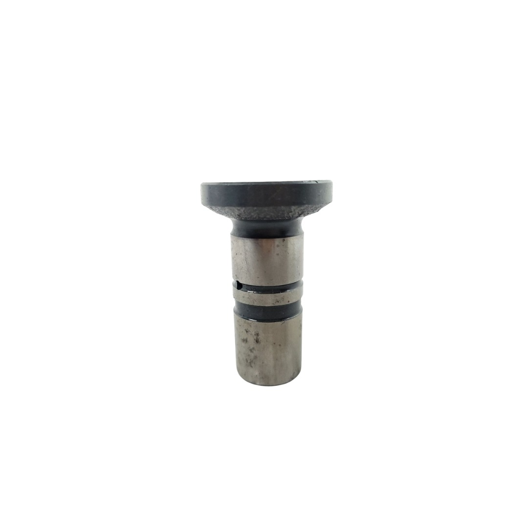 Tucho Do Motor Mwm 61000024 2