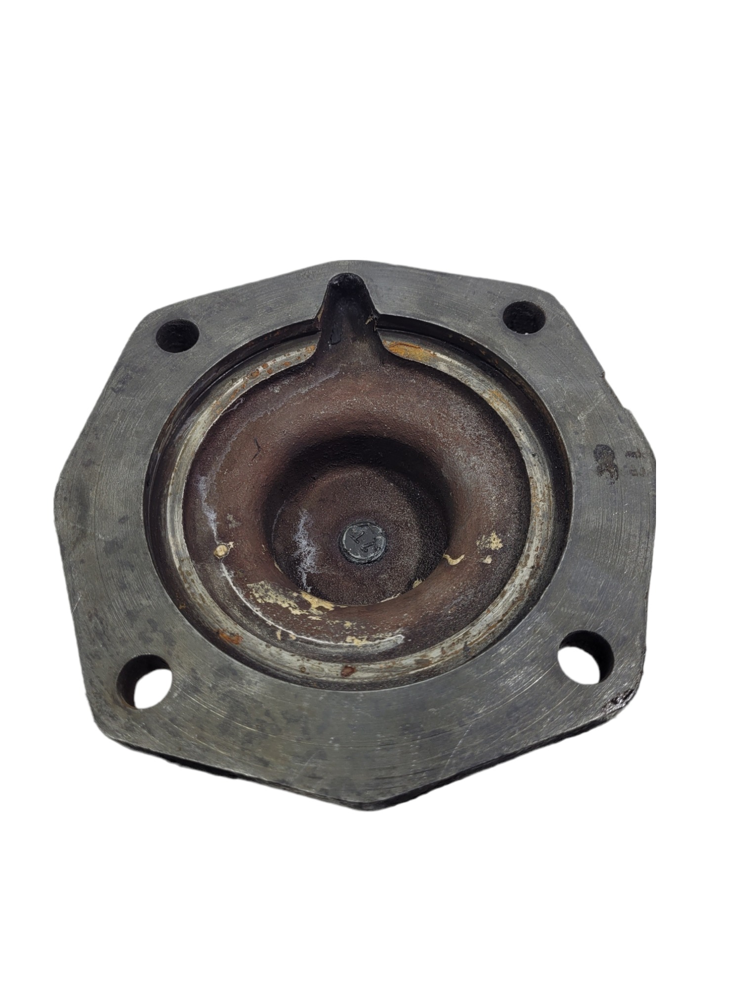 Tampa Tentetor Eixo Traseiro Cx Fs6206 vw 210  4301607 4