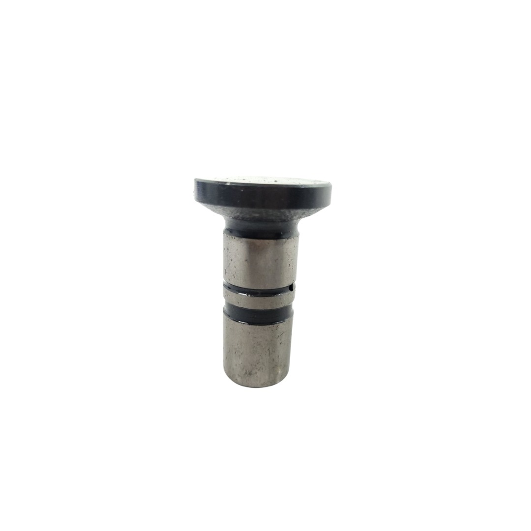 Tucho Do Motor Mwm 61000024 1