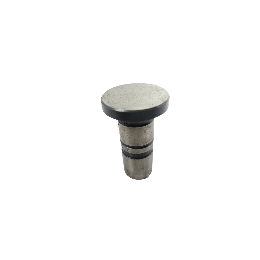 Tucho Do Motor Mwm 61000024 4
