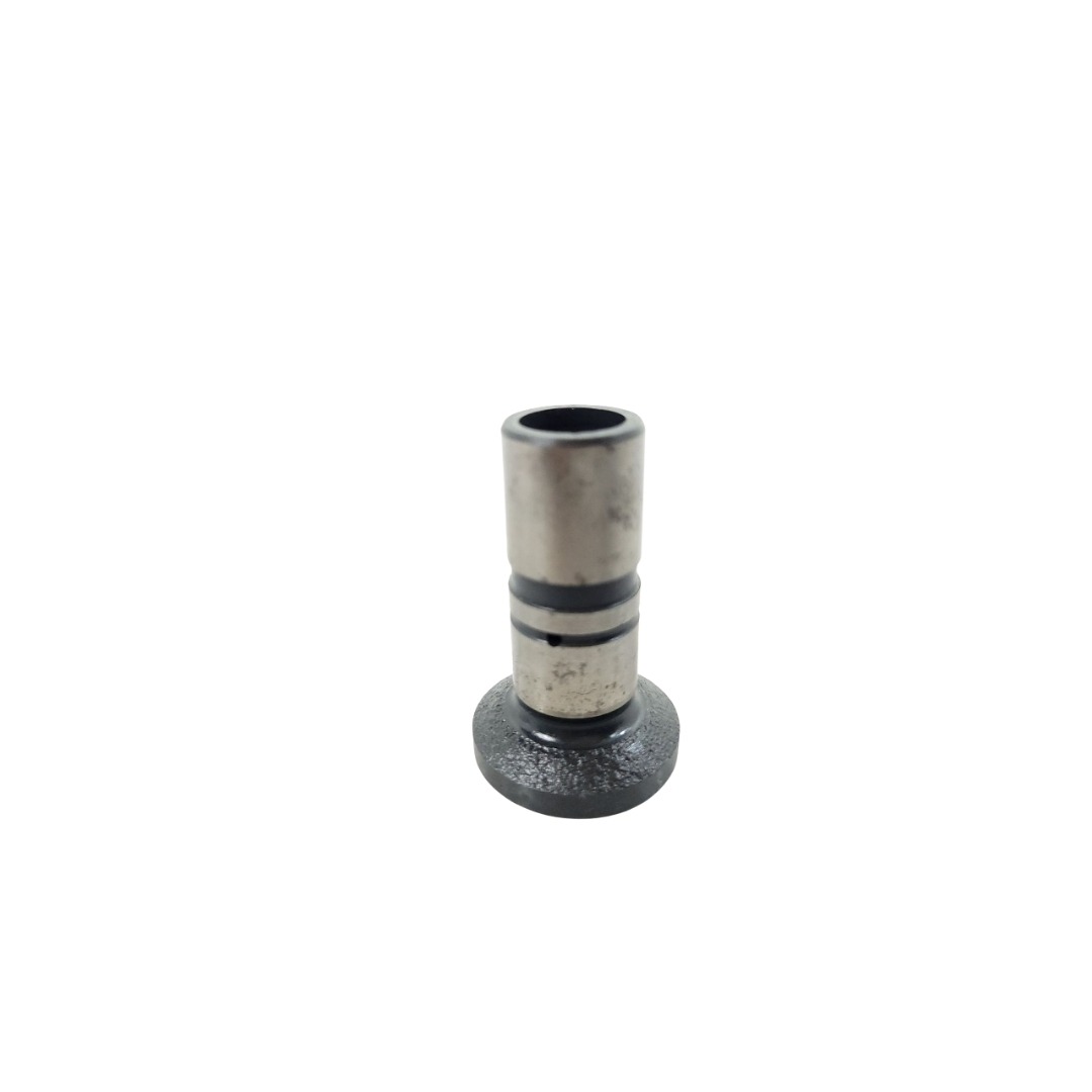 Tucho Do Motor Mwm 61000024 1