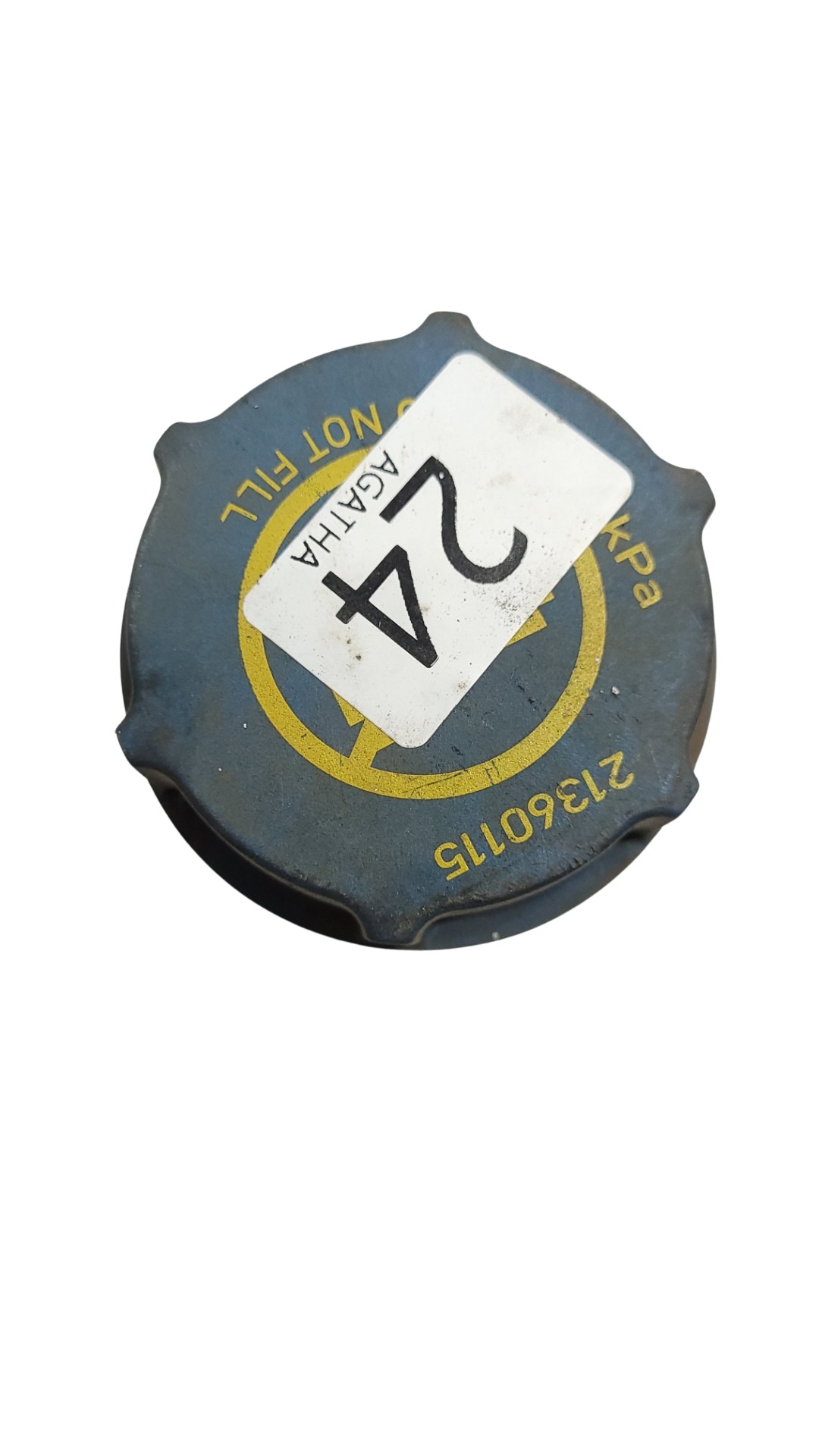 Tampa Tanque Expansão Volvo 1