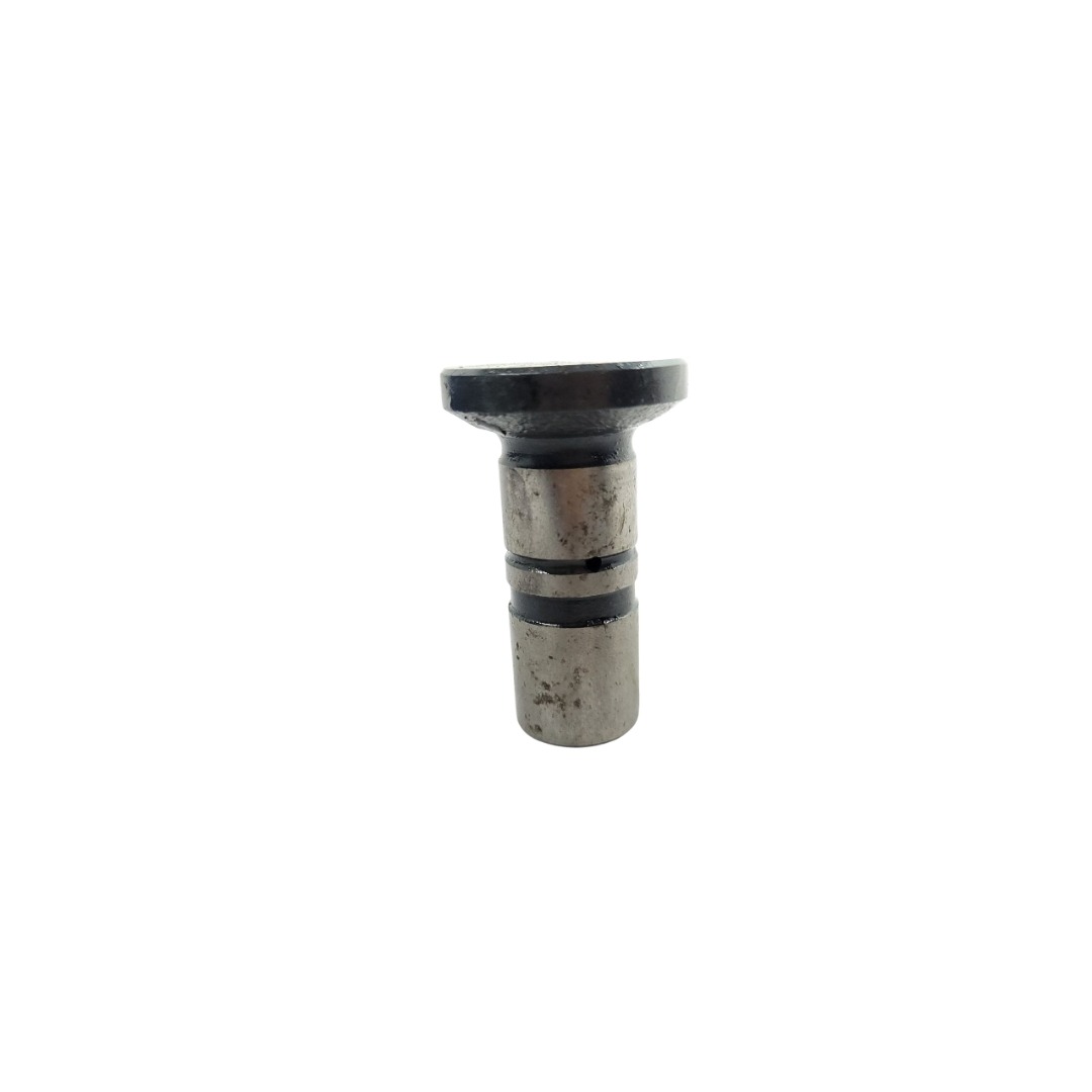 Tucho Do Motor Mwm 61000024 3