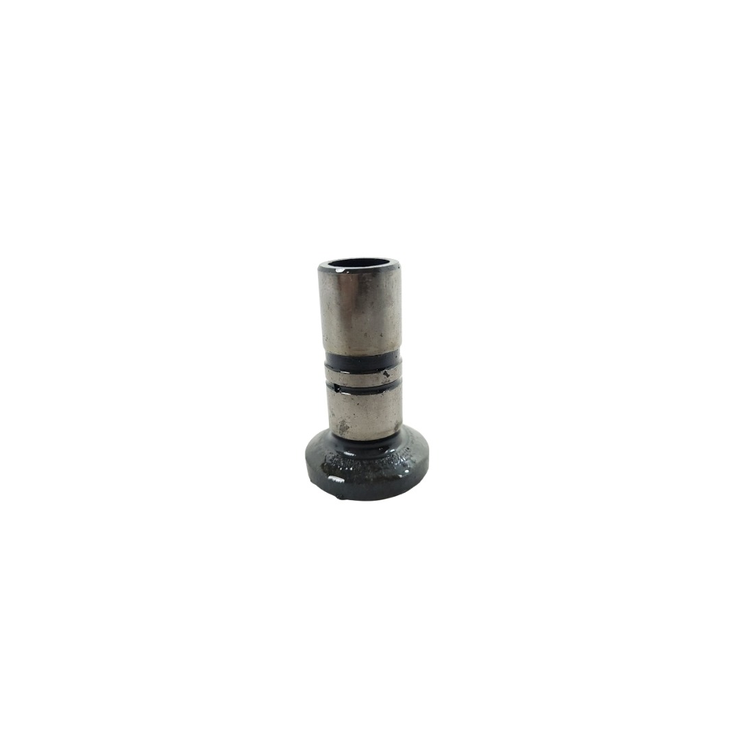 Tucho Do Motor Mwm 61000024 1