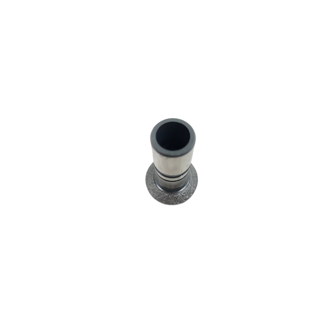 Tucho Do Motor Mwm 61000024 4