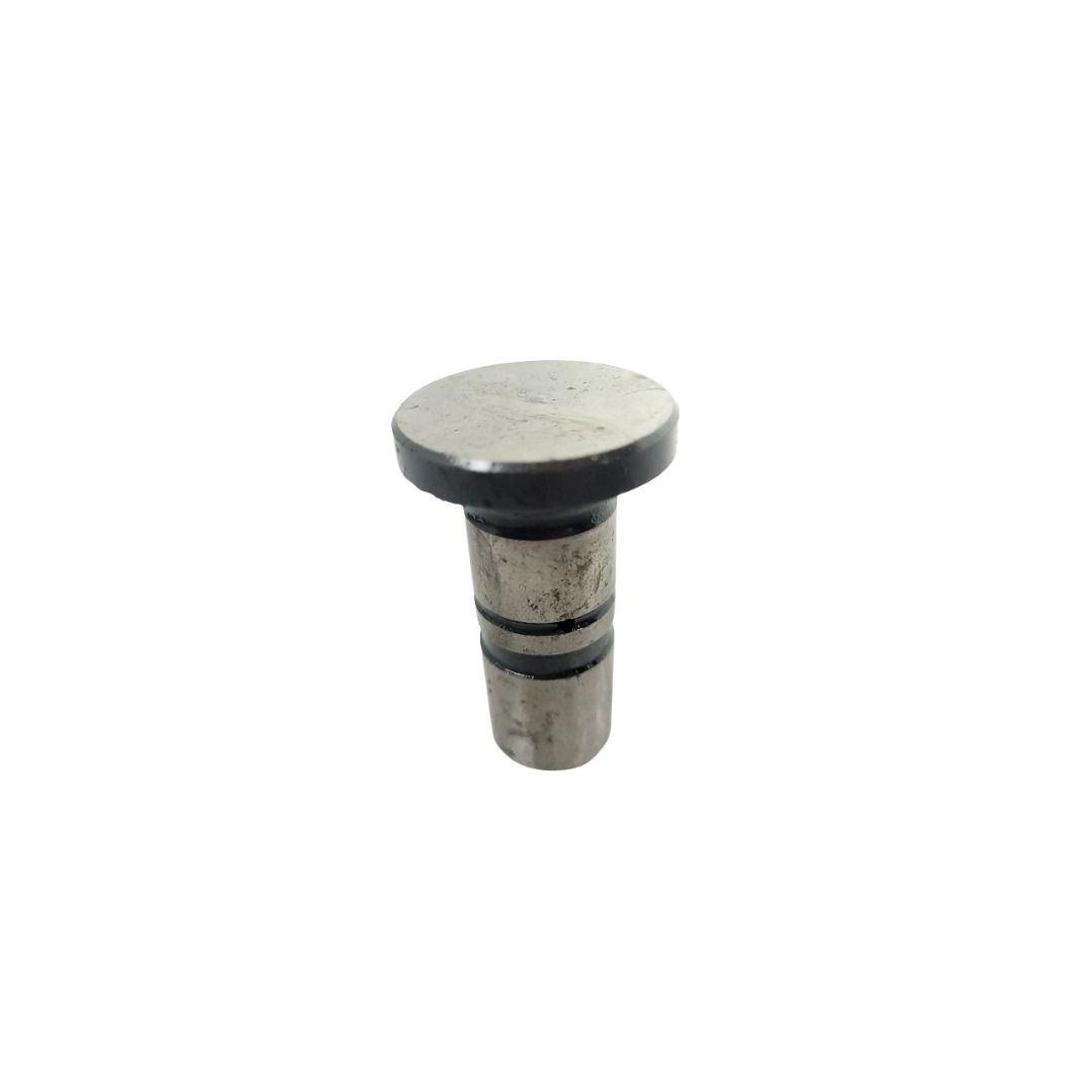 Tucho Do Motor Mwm 61000024 4