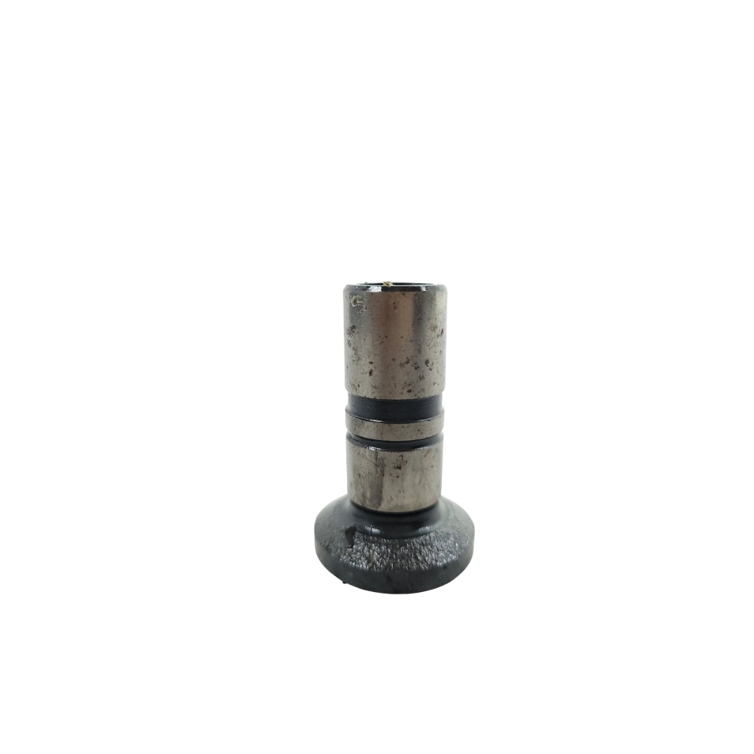Tucho Do Motor Mwm 61000024 1