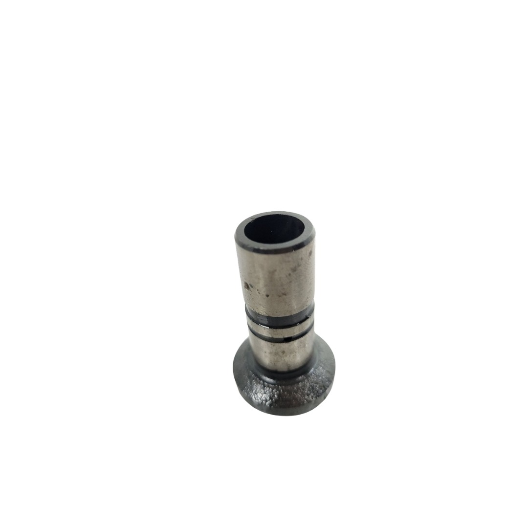 Tucho Do Motor Mwm 61000024 4