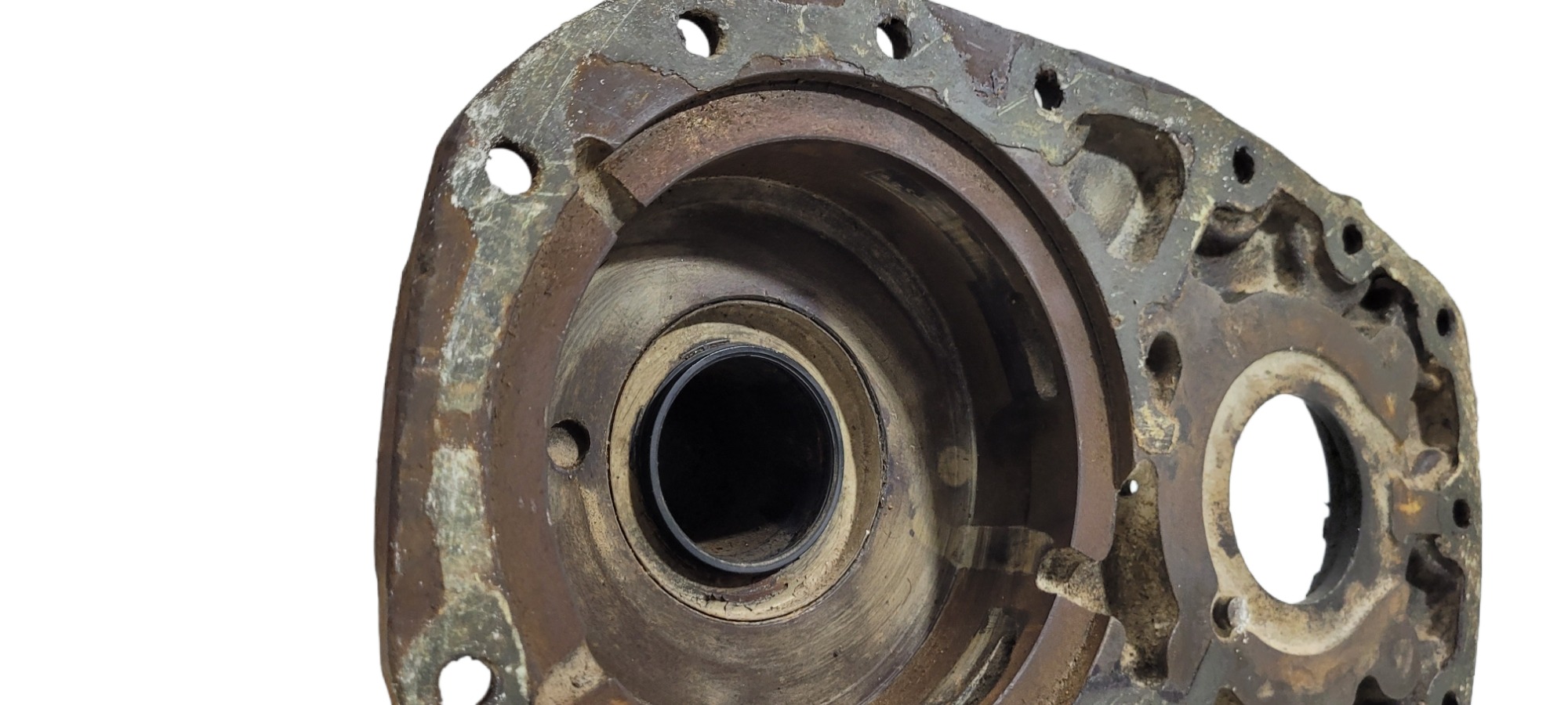 Moringa Zf 105 2