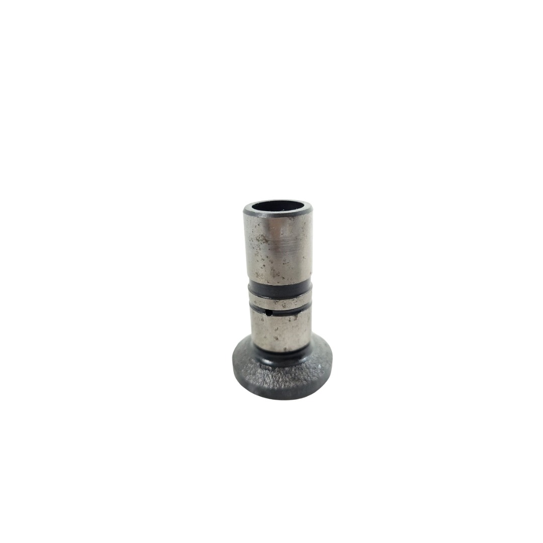 Tucho Do Motor Mwm 61000024 1