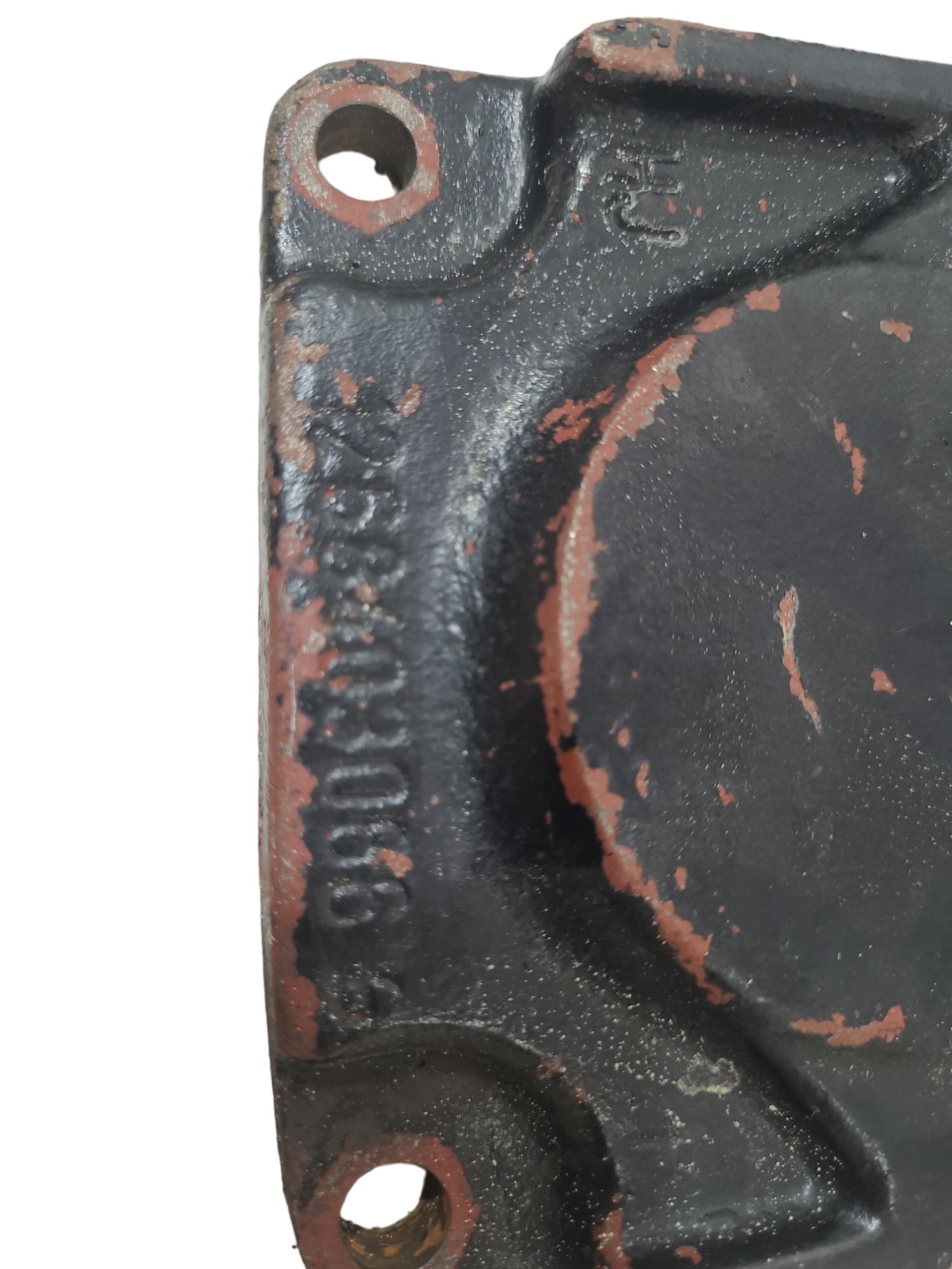Tampa Zf 1268403066 5