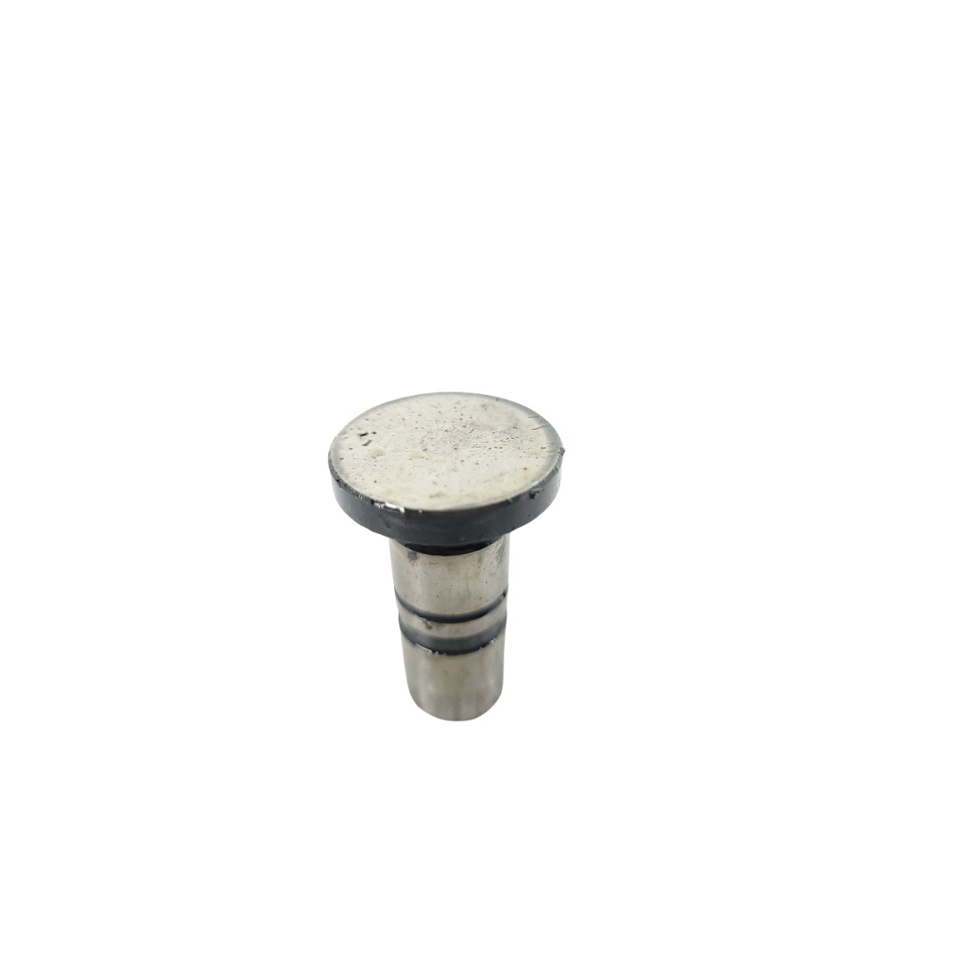 Tucho Do Motor Mwm 61000024 2