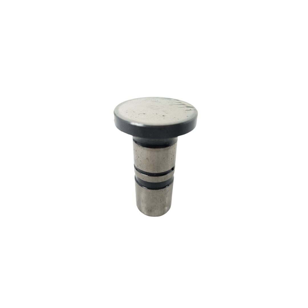 Tucho Do Motor Mwm 61000024 4