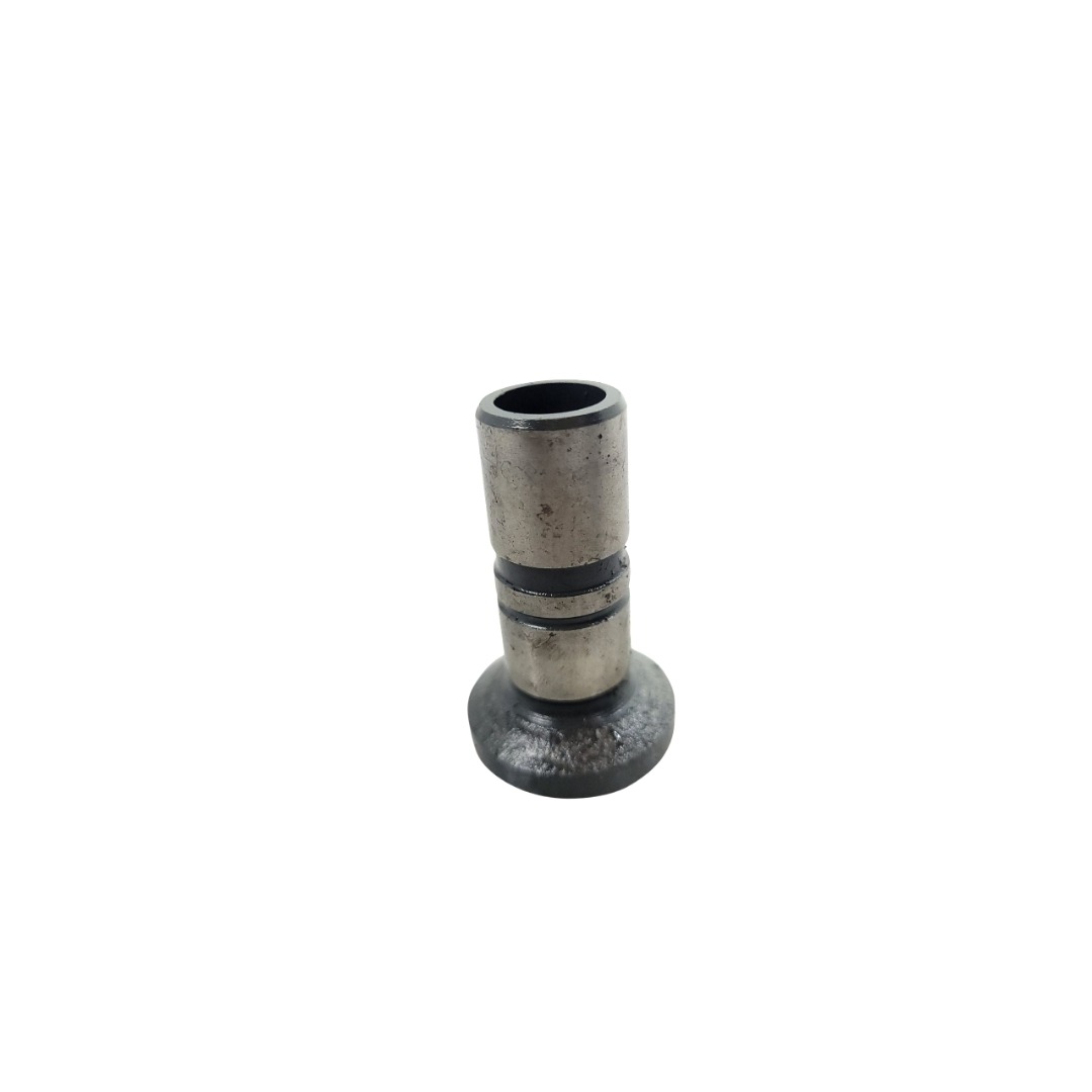 Tucho Do Motor Mwm 61000024 2