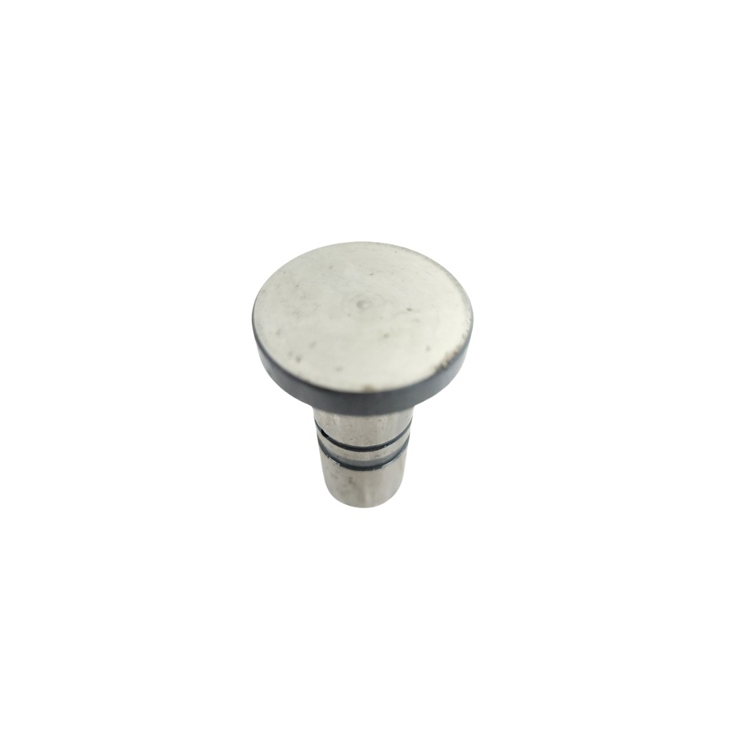 Tucho Do Motor Mwm 61000024 5