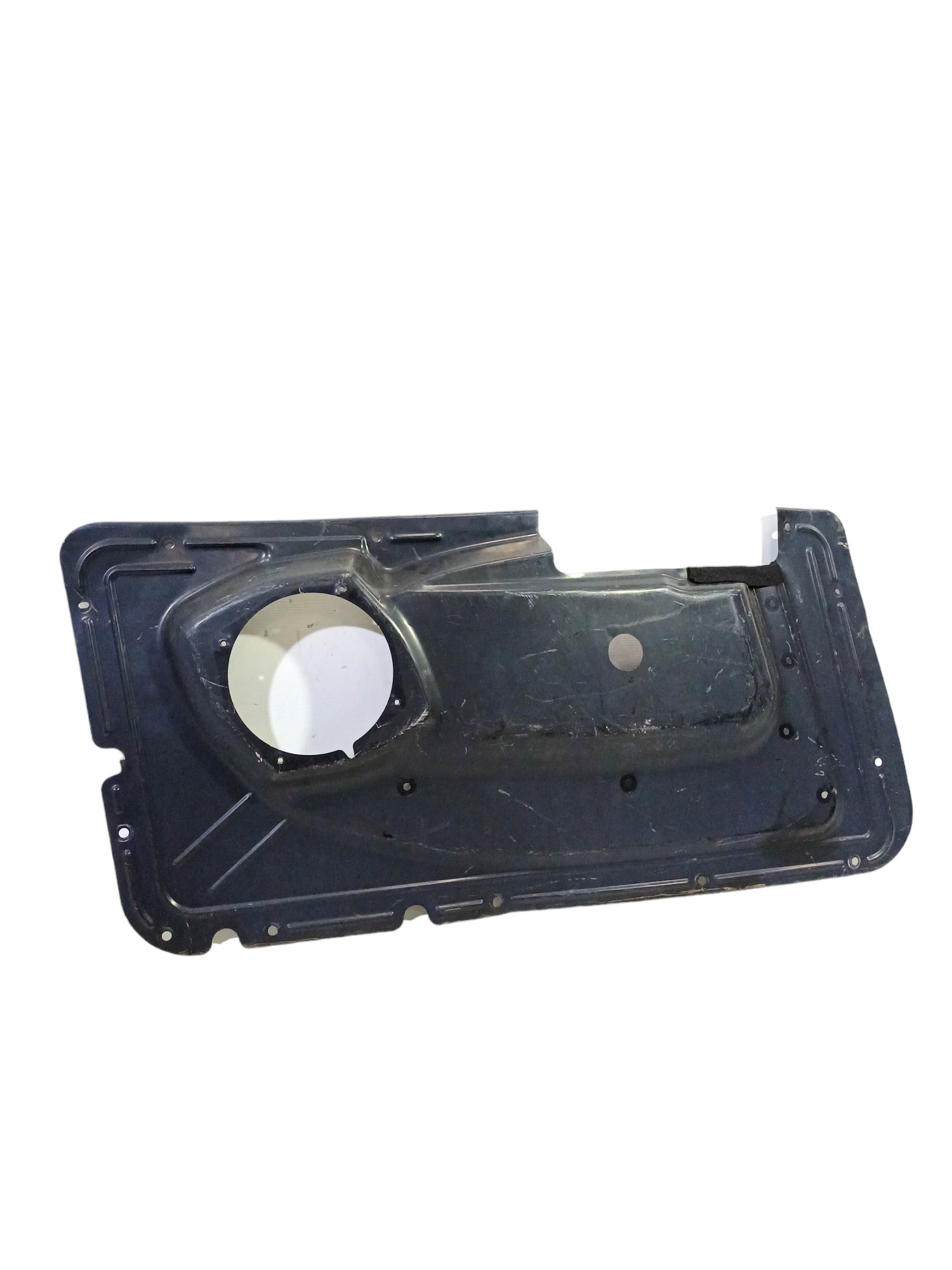 Chapa Porta Volvo Fh 3