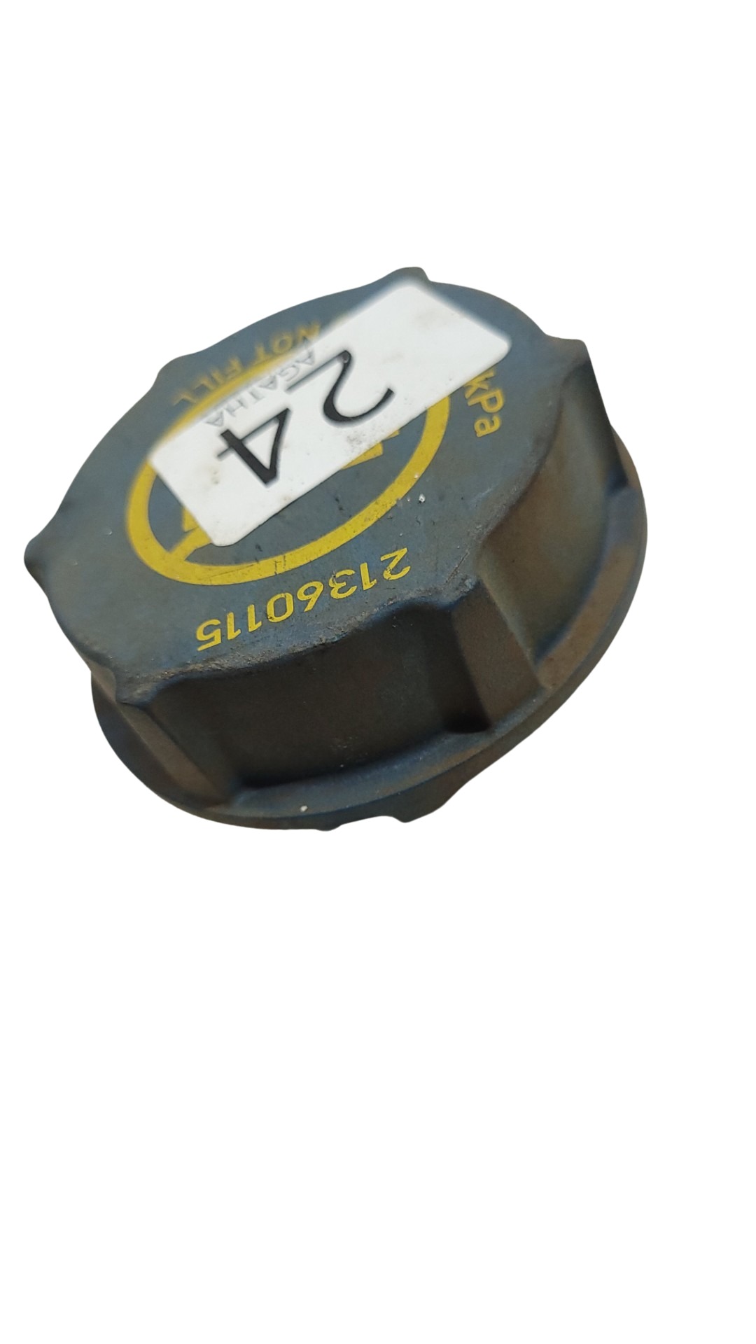 Tampa Tanque Expansão Volvo 2