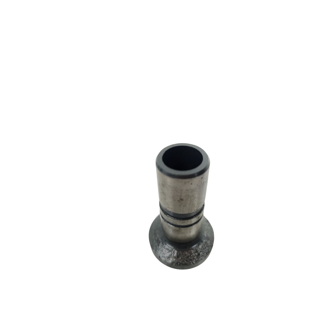 Tucho Do Motor Mwm 61000024 3