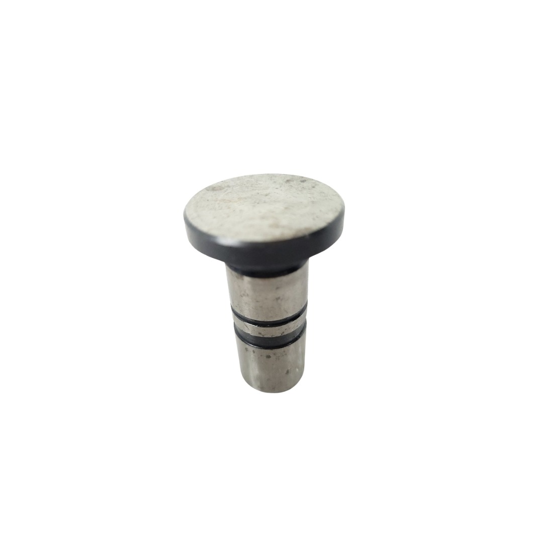 Tucho Do Motor Mwm 61000024 2