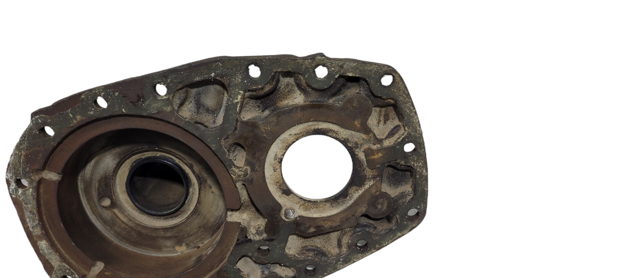 Moringa Zf 105 6