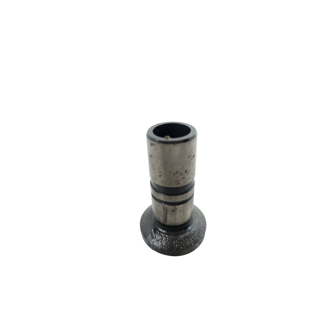 Tucho Do Motor Mwm 61000024 2